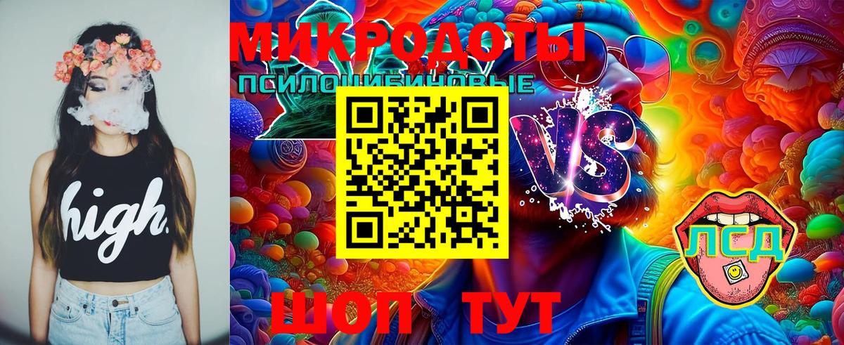 Ирбит  Галлюциногенные грибы Psilocybe  Вход с VPN  Псилоцибиновые грибы мицелий 